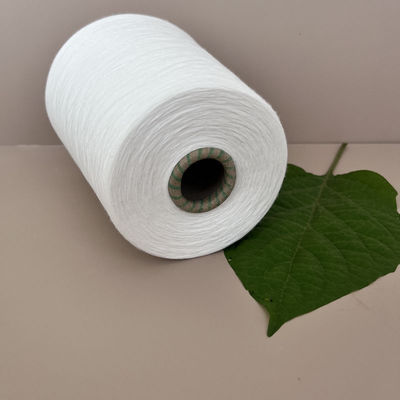 Rayon con anello bianco 50% di filo di viscosa 30S/1 300D per 30F originale vergine 20S a maglia calda
