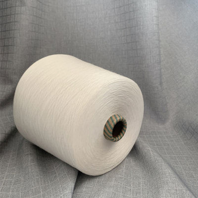 Cucitura 50% Tensilità 40/1 30S/1 120D/2 Filamenti di fibra di raglio viscoso Filato di lusso Conteggio O/E 60S 75D/24F 20S