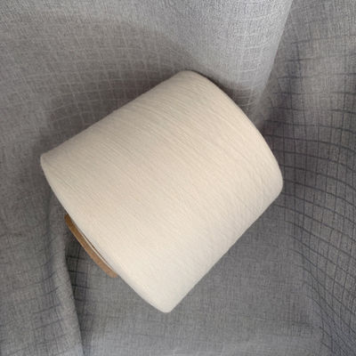 Cucitura 50% Tensilità 40/1 30S/1 120D/2 Filamenti di fibra di raglio viscoso Filato di lusso Conteggio O/E 60S 75D/24F 20S