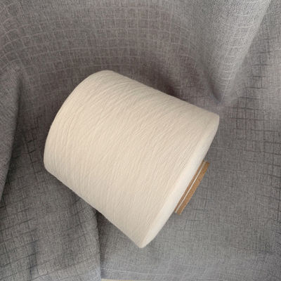 Cucitura 50% Tensilità 40/1 30S/1 120D/2 Filamenti di fibra di raglio viscoso Filato di lusso Conteggio O/E 60S 75D/24F 20S