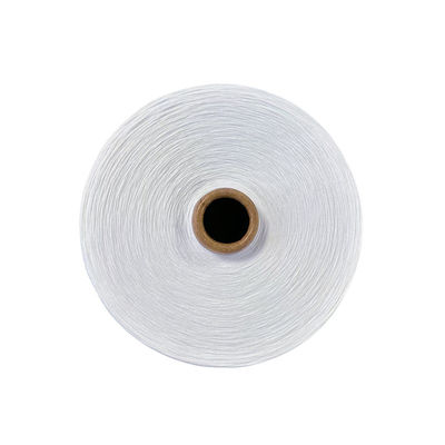 T-shirt di colore grezzo alto Filato di poliestere mono Tfo 0,11Mm Miscelato 36F Fuso